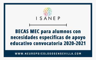 BECAS MEC para alumnos con necesidades especificas de apoyo educativo convocatoria 2020-2021