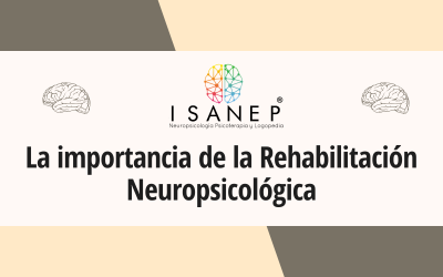 La importancia de la Rehabilitación Neuropsicológica