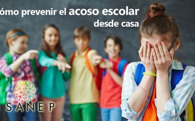Cómo prevenir el acoso escolar desde casa