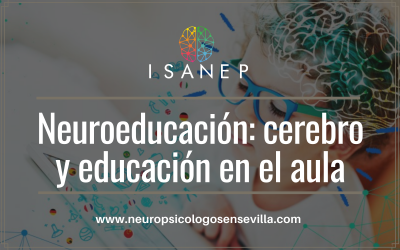 Neuroeducación: cerebro y educación en el aula